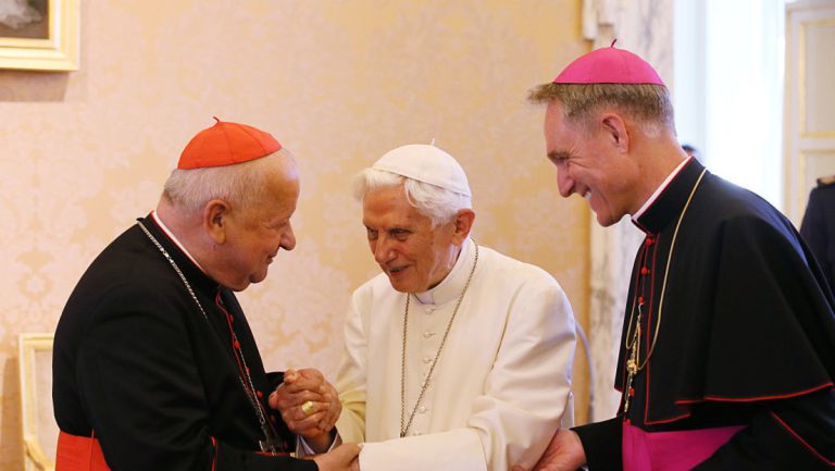 Papst Benedikt XVI. schützte Täter — RT DE