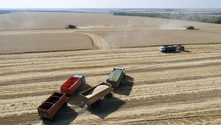 China öffnet Weg für die Einfuhr von Weizen aus allen Teilen Russlands — RT DE