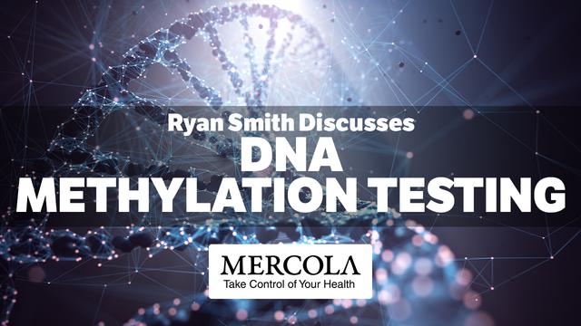 Was DNA-Methylierungstests über Ihre Gesundheit aussagen können – uncut-news.ch