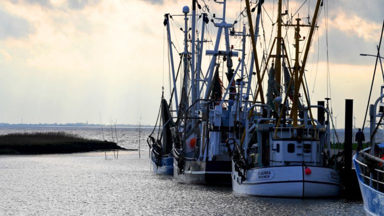 „Situation ist dramatisch“ – Nord- und Ostseefischer bleiben wegen hoher Dieselpreise in Häfen — RT DE