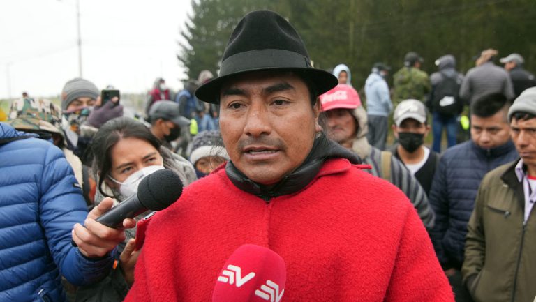 Gericht beschließt Freilassung auf Bewährung für Indigenen-Anführer — RT DE