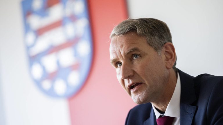 Thüringischer Innenminister Maier (SPD) will AfD-Mitgliedern Waffenbesitz verbieten — RT DE