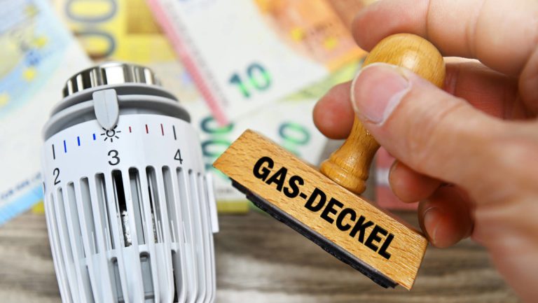 Zwei Modelle für den Gaspreisdeckel in der Diskussion — RT DE