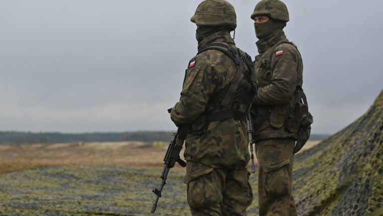 Polens Verteidigungsminister kündigt neue Infanteriedivision für Osten des Landes an — RT DE