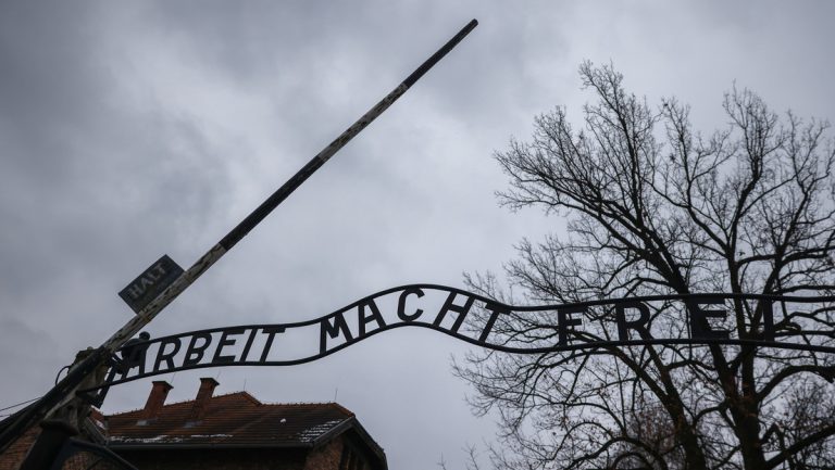 „Wie konnte es nur dazu kommen?“ – Enthemmter Überlegenheitsglaube ermöglichte Auschwitz — RT DE
