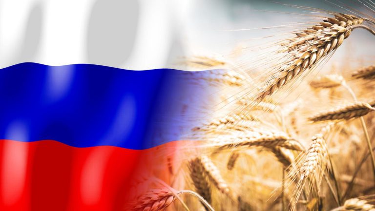 Weizen als Wunderwaffe? – Russlands Rekordernte und ihr Einfluss auf den Weltmarkt — RT DE
