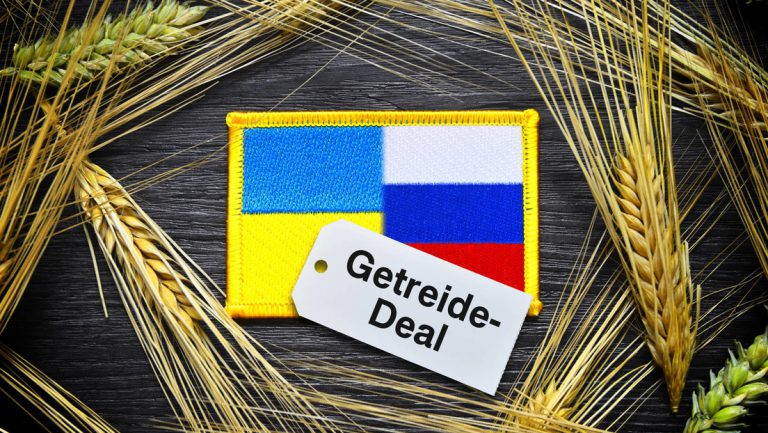 Falls Getreide-Deal scheitert, gibt es einen „Plan B“ — RT DE