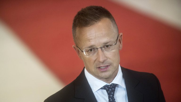 Ungarns Außenminister weist Vorwürfe Kiews zur Überstellung von gefangenen Soldaten zurück — RT DE