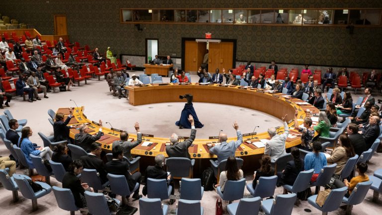 Dänemark legt dem UN-Sicherheitsrat Ermittlungsstand vor — RT DE