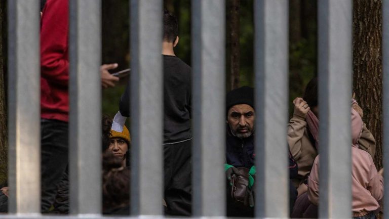 Polen vertreibt gewaltsam fünf Migranten nach Weißrussland — RT DE