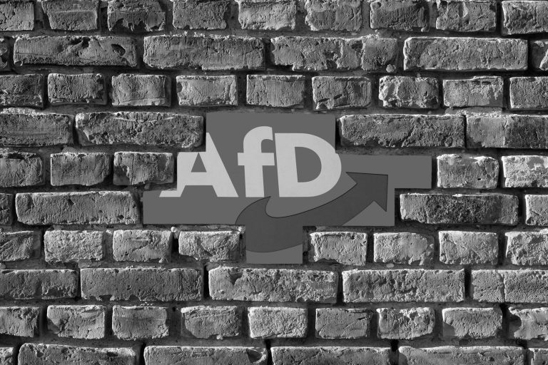 Schuss nach hinten: “AfD nee”-Kampagne sorgt für “AfD – jetzt erst recht”