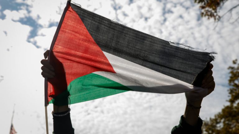 Demo für „Ein freies Palästina“ darf in Frankfurt stattfinden — RT DE