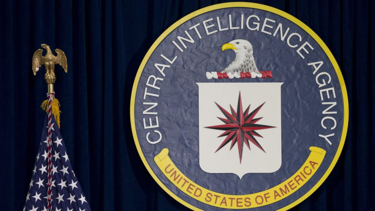 Ex-Hacker der CIA muss 40 Jahre in Gefängnis wegen Spionage und Pädophilie — RT DE