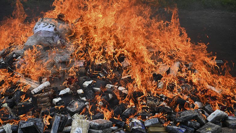 Mehr als 9.000 Kilo Drogen verbrannt — RT DE