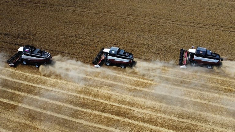 EU will Zollgebühren für Getreide aus Russland und Weißrussland — RT DE